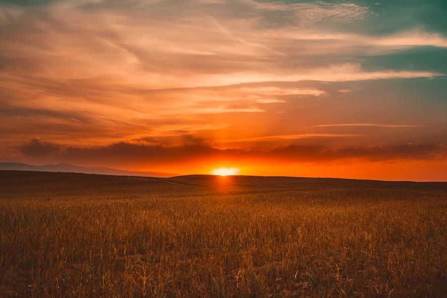 sunsets-estate-tax-when-let-go